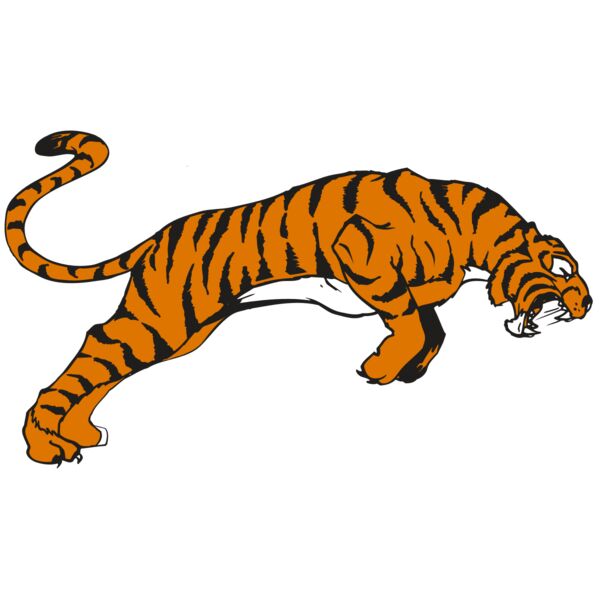 AR TIGER 79 RC Thumbnail