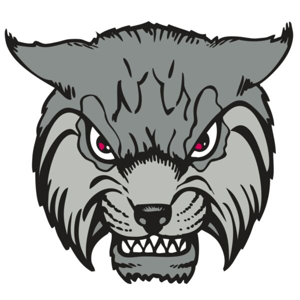 BAW BOBCAT 02 RC Thumbnail